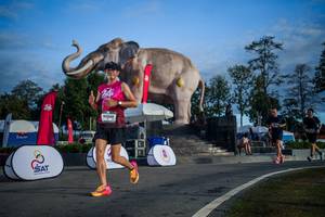 BIB: 
                            <button type="button" onclick="openModal(26541900)" class="btn btn-primary btn-sm float-right btn-popup" data-toggle="modal" data-target=".modal-high-quality">
                        <i class="fas fa-shopping-cart"></i> Add to Cart
                    </button>
                                            <button type="button" onclick="isThisMe(26541900, true)" class="btn btn-success btn-sm float-right btn-popup btn-isme hidden" data-toggle="tooltip" data-placement="bottom" title="นี่คือรูปของคุณใช่ไหม คลิกที่นี่เพื่อเอาเข้าอัลบั้ม">
                        <i class="fas fa-plus"></i> Add to album
                    </button>
                    <button type="button" onclick="isThisMe(26541900, false)" class="btn btn-warning btn-sm float-right btn-popup btn-isnotme hidden">
                        <i class="fas fa-ban"></i> Remove from album
                    </button>